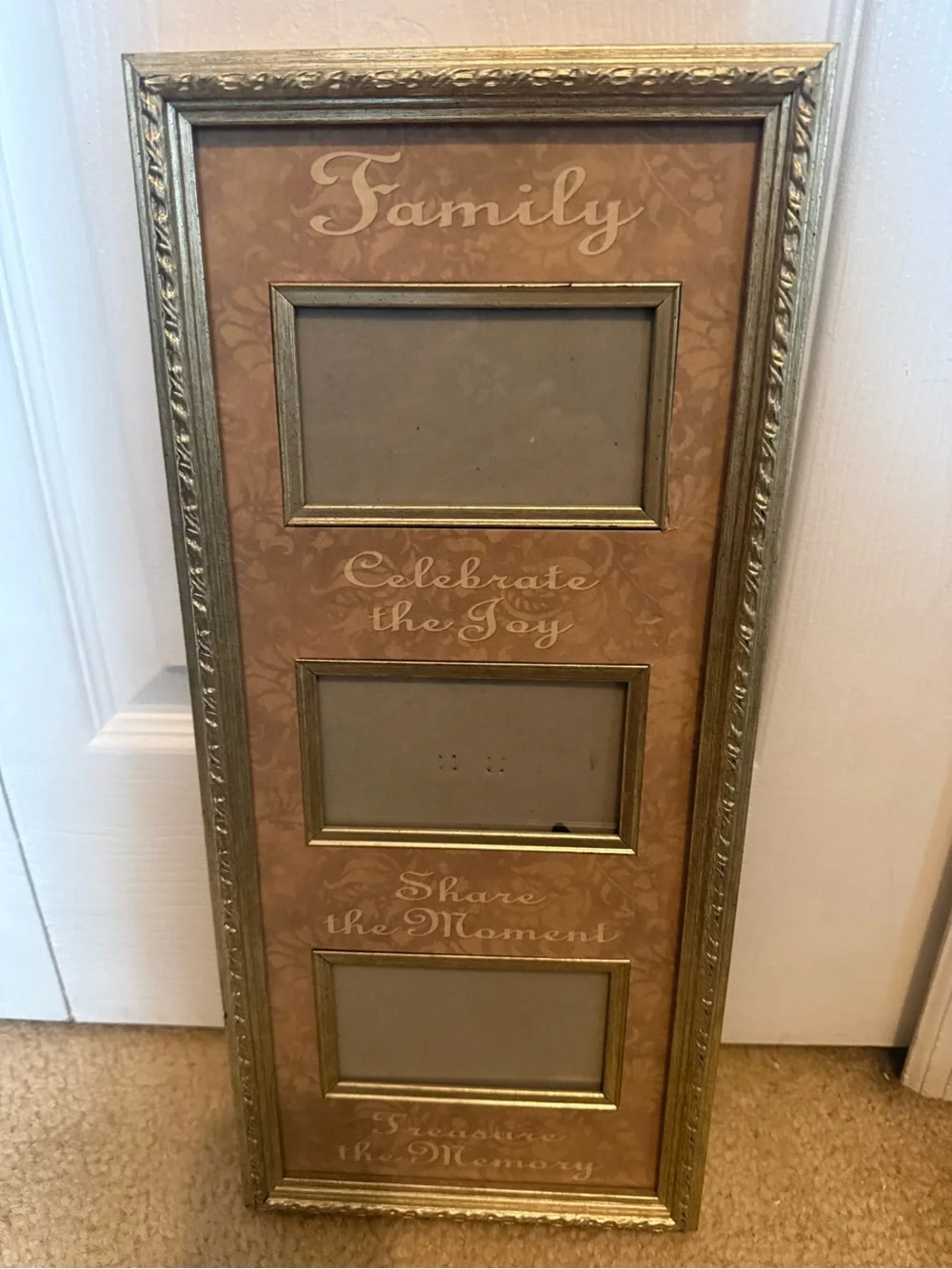 Family Multi-Opening Photo Frame - Gold and Tan